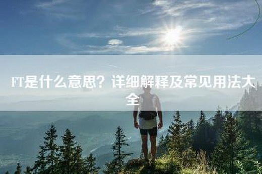 FT是什么意思？详细解释及常见用法大全