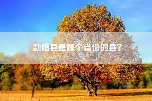 勐腊县是哪个省份的县？