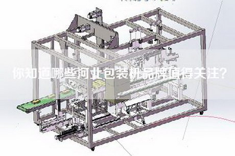 你知道哪些河北包装机品牌值得关注？