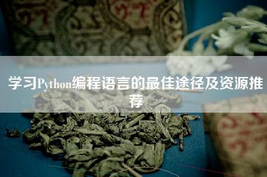 学习Python编程语言的最佳途径及资源推荐