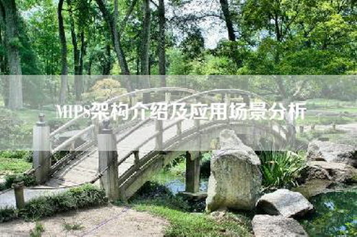 MIPS架构介绍及应用场景分析