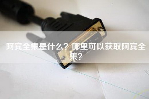 阿宾全集是什么？哪里可以获取阿宾全集？