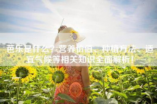 芭乐是什么？营养价值、种植方法、适宜气候等相关知识全面解析！