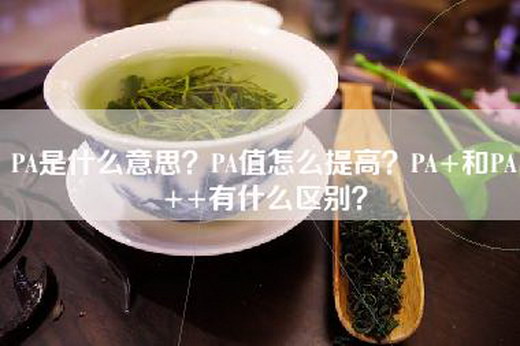 PA是什么意思？PA值怎么提高？PA+和PA++有什么区别？