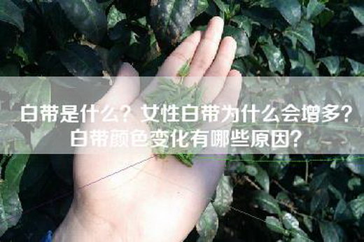 白带是什么？女性白带为什么会增多？白带颜色变化有哪些原因？