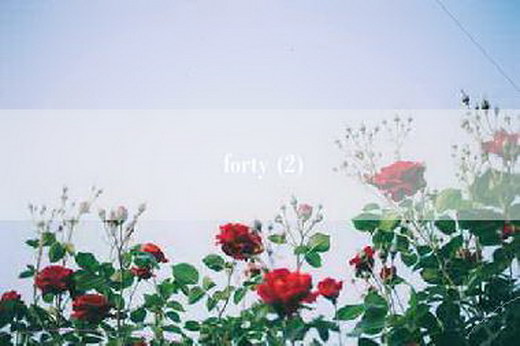 forty (2)