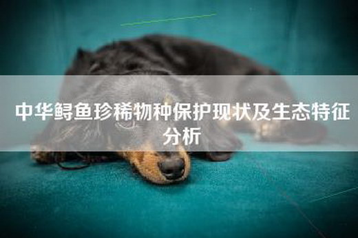 中华鲟鱼珍稀物种保护现状及生态特征分析