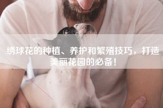 绣球花的种植、养护和繁殖技巧，打造美丽花园的必备！