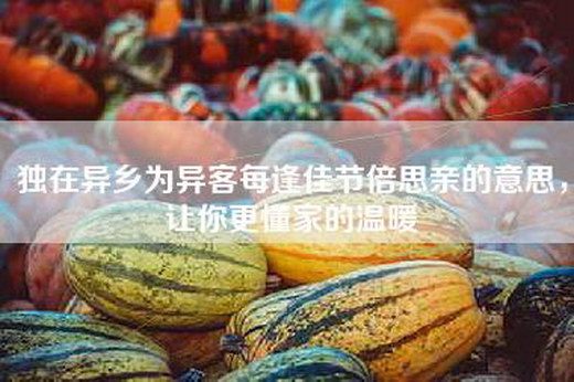 独在异乡为异客每逢佳节倍思亲的意思，让你更懂家的温暖