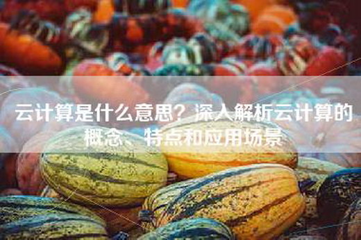 云计算是什么意思？深入解析云计算的概念、特点和应用场景