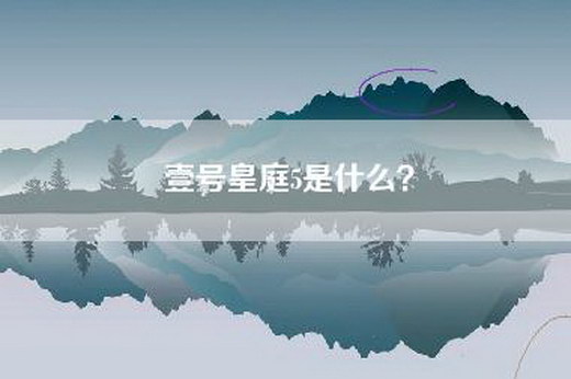 壹号皇庭5是什么？