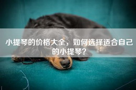 小提琴的价格大全，如何选择适合自己的小提琴？