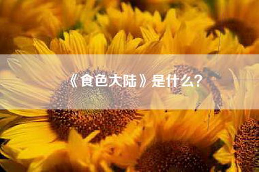 《食色大陆》是什么？