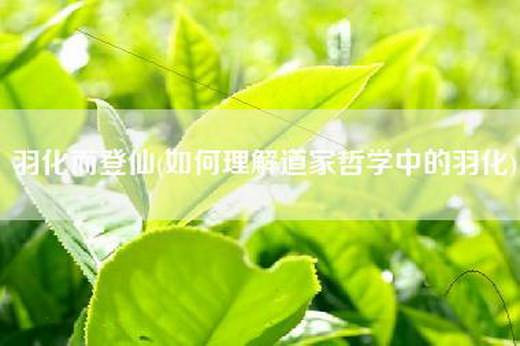 羽化而登仙(如何理解道家哲学中的羽化)