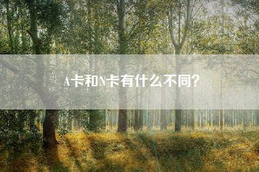 A卡和N卡有什么不同？