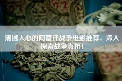 震撼人心的阿富汗战争电影推荐，深入探索战争真相！