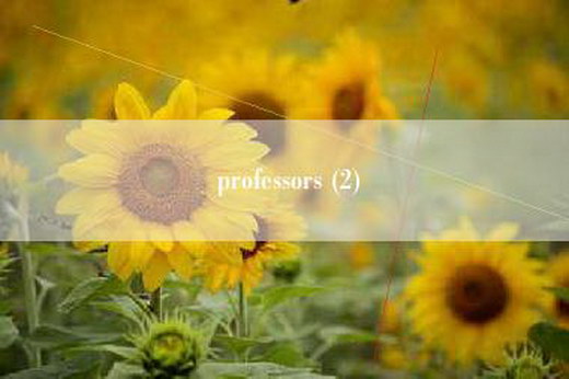 professors (2)