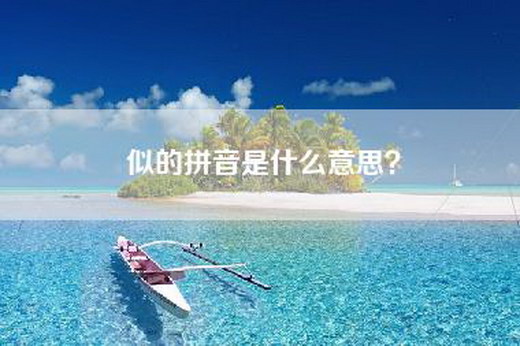 似的拼音是什么意思？