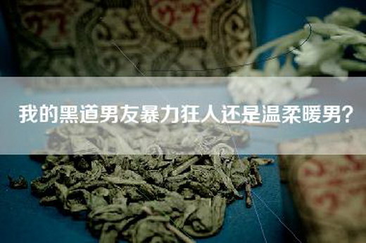 我的黑道男友暴力狂人还是温柔暖男？