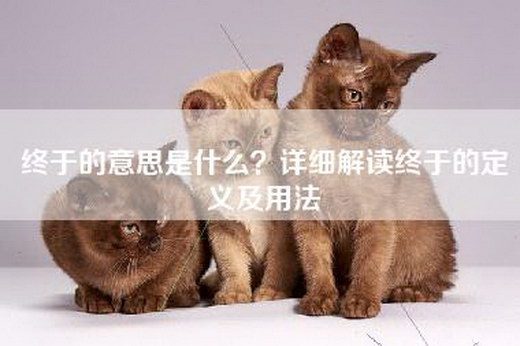 终于的意思是什么？详细解读终于的定义及用法