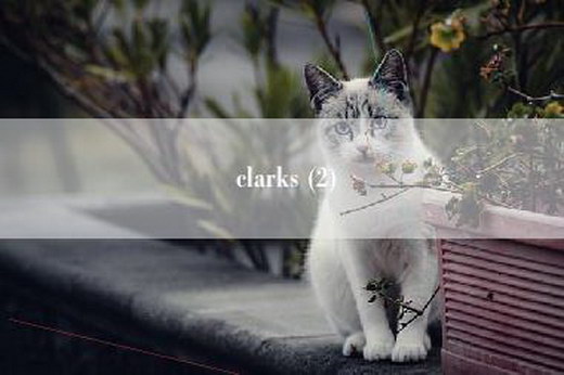 clarks (2)