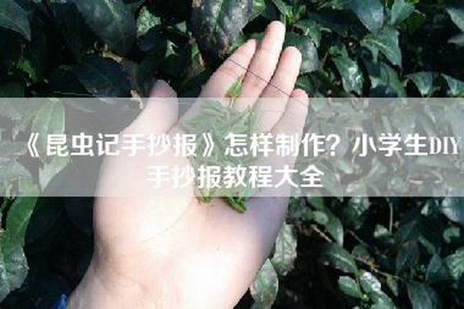 《昆虫记手抄报》怎样制作？小学生DIY手抄报教程大全