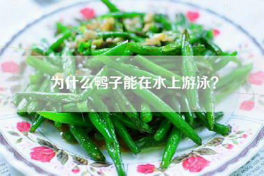 为什么鸭子能在水上游泳？