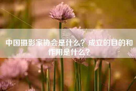 中国摄影家协会是什么？成立的目的和作用是什么？