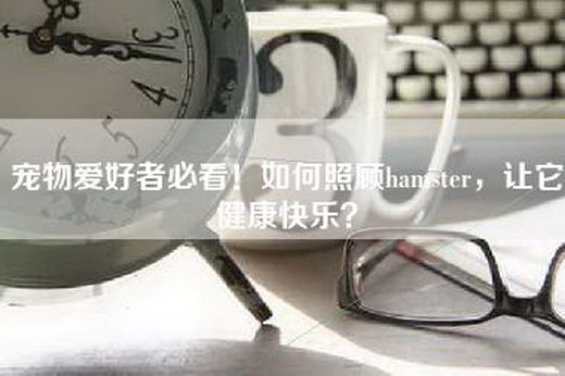 宠物爱好者必看！如何照顾hamster，让它健康快乐？