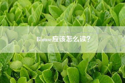 Blouse应该怎么读？