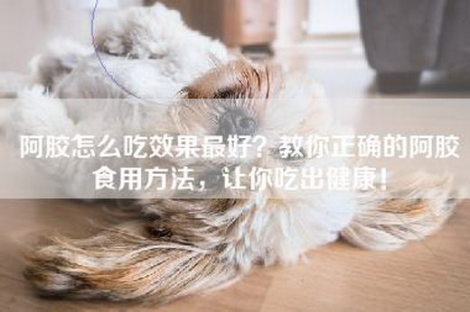 阿胶怎么吃效果最好？教你正确的阿胶食用方法，让你吃出健康！