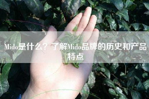 Mido是什么？了解Mido品牌的历史和产品特点