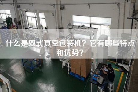 什么是双式真空包装机？它有哪些特点和优势？