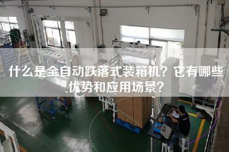 什么是全自动跌落式装箱机？它有哪些优势和应用场景？