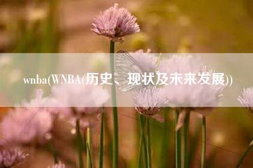 wnba(WNBA(历史、现状及未来发展))