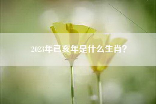 2023年已亥年是什么生肖？