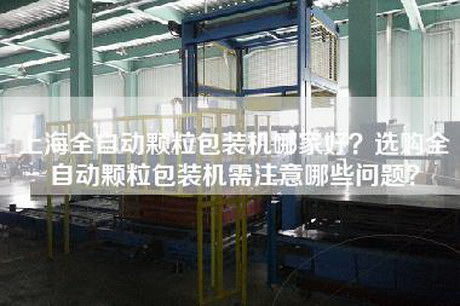 上海全自动颗粒包装机哪家好？选购全自动颗粒包装机需注意哪些问题？
