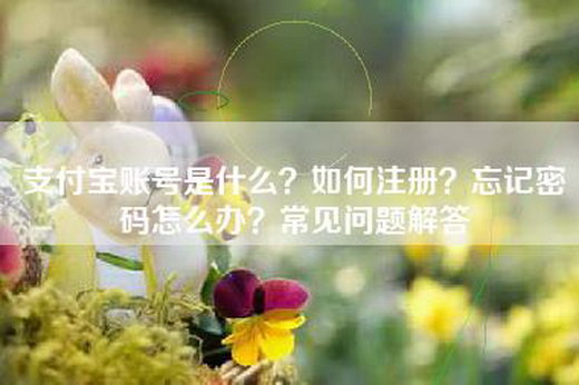 支付宝账号是什么？如何注册？忘记密码怎么办？常见问题解答