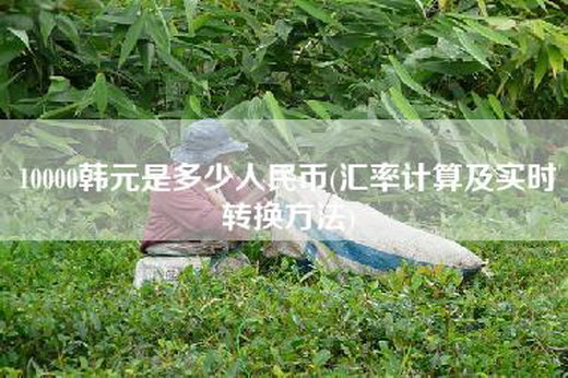 10000韩元是多少人民币(汇率计算及实时转换方法)