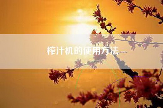 榨汁机的使用方法