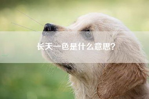 长天一色是什么意思？