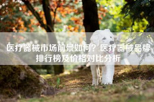 医疗器械市场前景如何？医疗器械品牌排行榜及价格对比分析