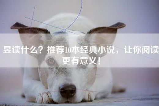 昱读什么？推荐10本经典小说，让你阅读更有意义！