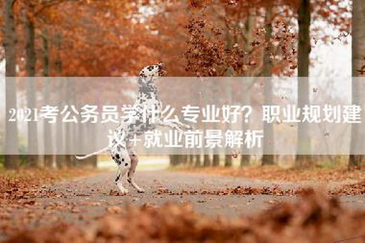 2021考公务员学什么专业好？职业规划建议+就业前景解析