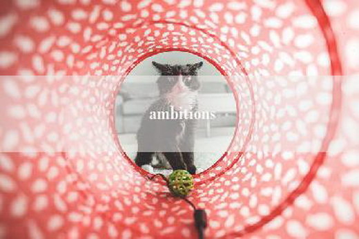 ambitions