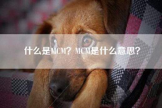 什么是MCM？MCM是什么意思？