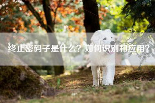 终止密码子是什么？如何识别和应用？