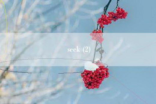 seek (2)