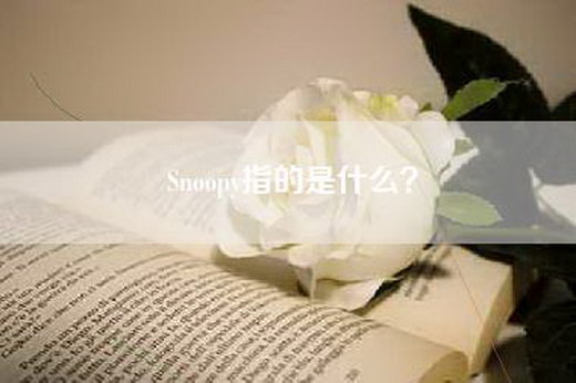 Snoopy指的是什么？