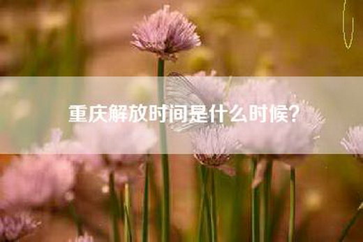 重庆解放时间是什么时候？